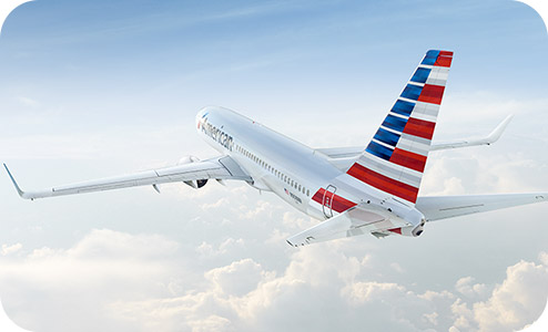 Business – Travel information – American Airlines
